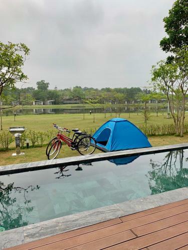 Flamingo Happy Villa Owner