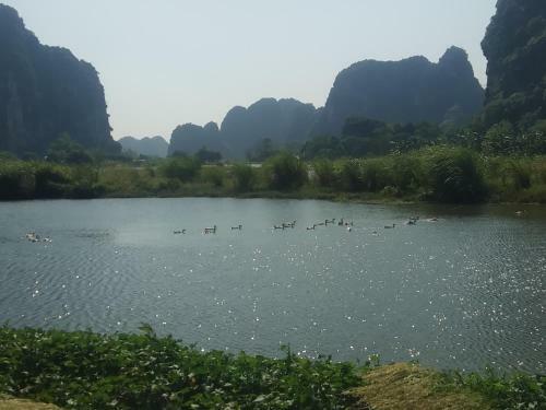 Trang An Central Homestay