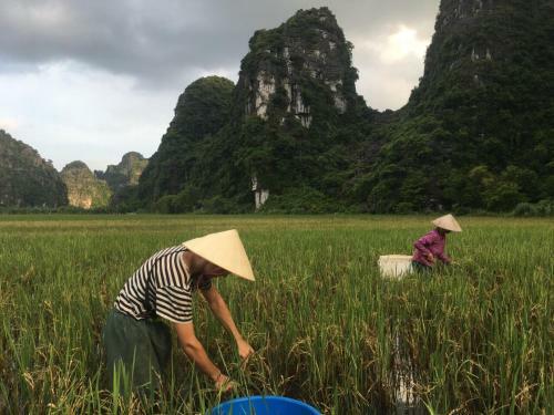 Mai's Homestay Trang An Village