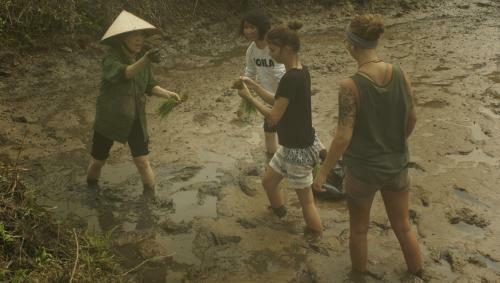 Mai's Homestay Trang An Village