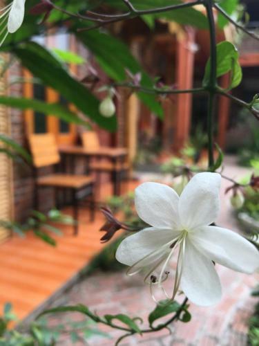 Bed & Breakfast Tam Coc Memories Homestay