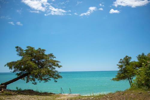 Posada Zolotoy Bereg Baza Otdyha