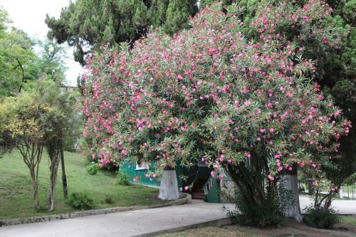 Posada Zolotoy Bereg Baza Otdyha