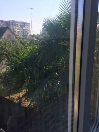 Hostal Guest House In Gudauta