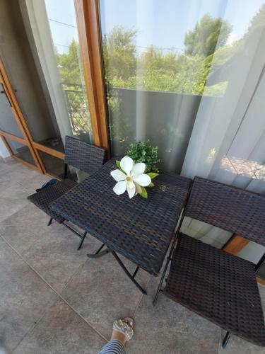 Posada Guest House Meka