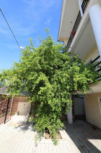 Hostal Rozalin Guest House