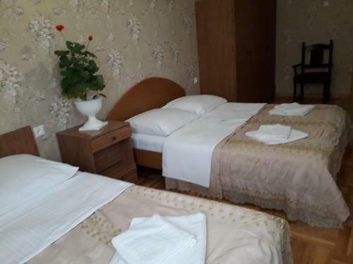 Apartment For Family And Companies