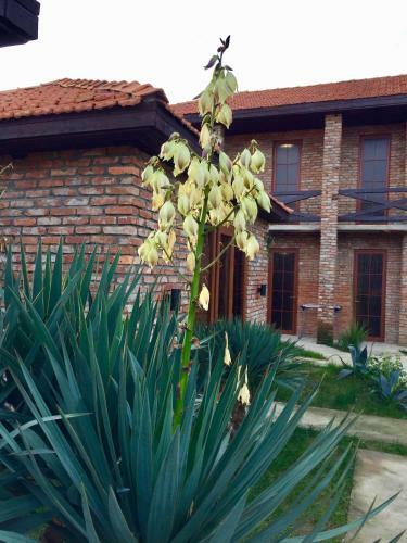 Apartamento Loft Garden