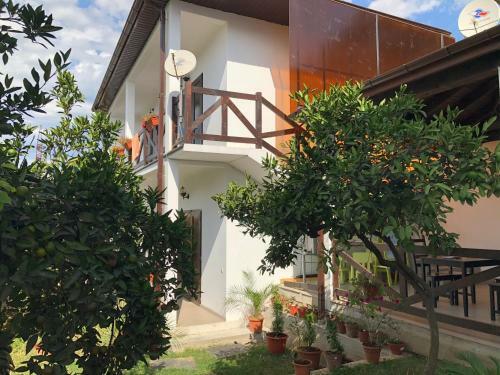 Hostal Guest House Lermontov