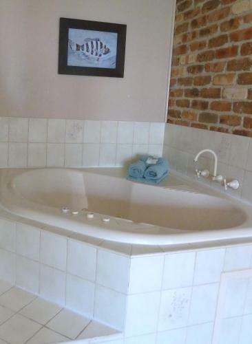 Aparthotel Mollymook Surfbeach Motel & Apartments