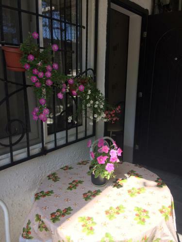 Hostal Sariya