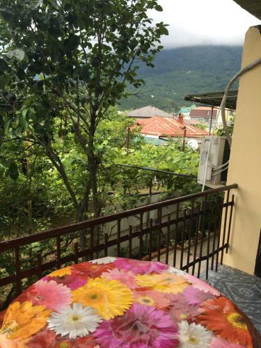 Hostal Orhidea Guest House