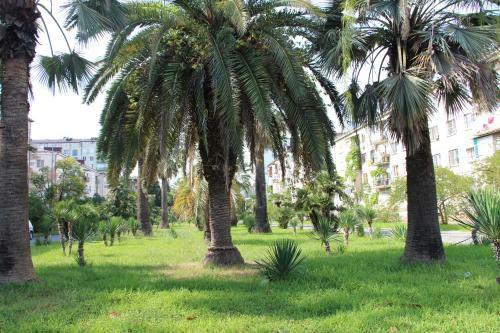 Hotel Assir