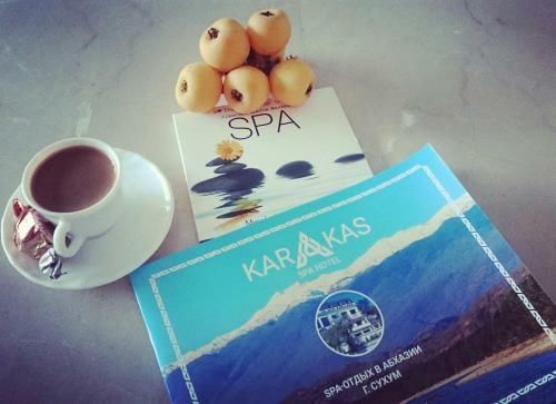 Spa Hotel Karakas