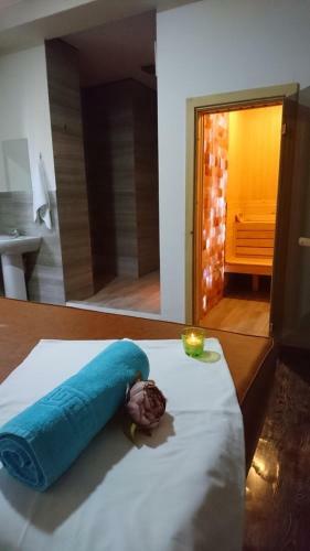 Spa Hotel Karakas