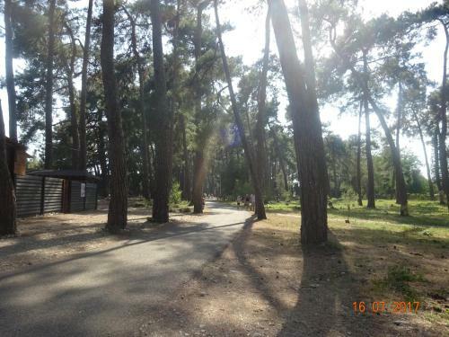 Posada Calypso Mini-hotel