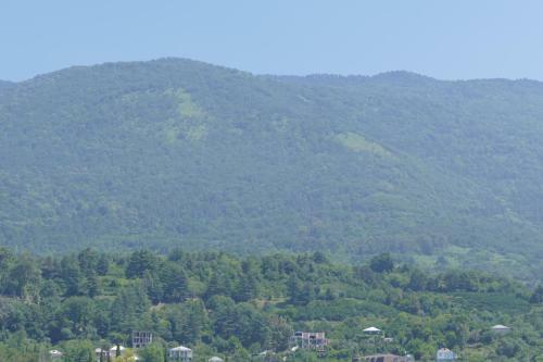 Posada Mini-hotel Gagra-camping