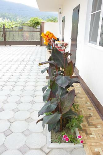 Posada Mini-hotel Gagra-camping