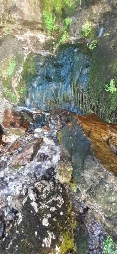 Posada Mini-hotel Gagra-camping