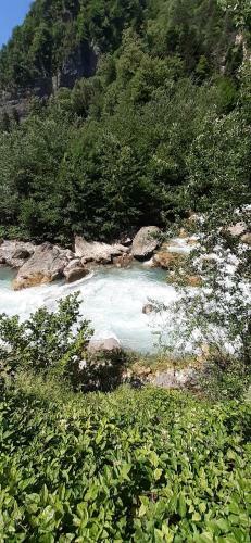 Posada Mini-hotel Gagra-camping