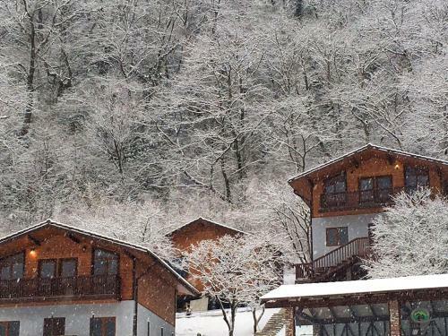 Posada Grass Hotel