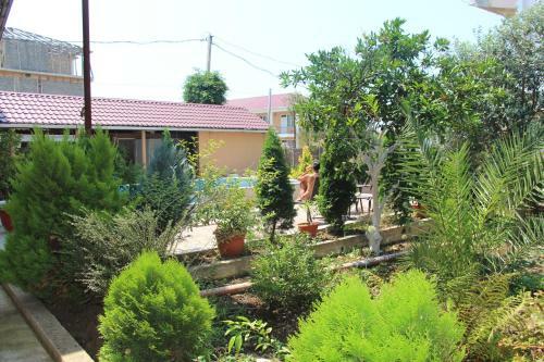 Hostal Guest House U Kamo