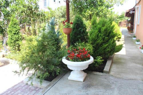 Hostal Guest House U Kamo