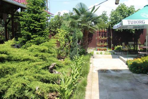 Hostal Guest House U Kamo