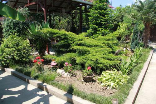 Hostal Guest House U Kamo