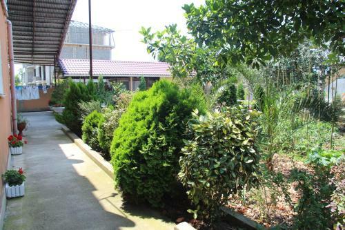 Hostal Guest House U Kamo