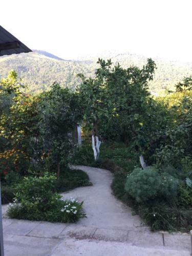 Hostal Guest House Zelenyi Dvorik