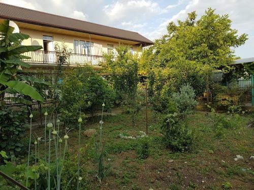 Hostal Guest House Artem