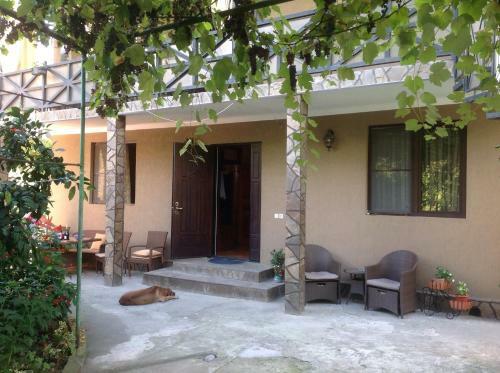 Hostal D'emil Guest House
