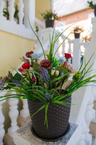 Hostal Guesthouse U Angely