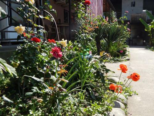 Hostal Otdykh U Tatyany Guest House