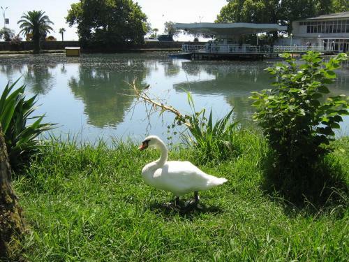 Agroturismo Guest House On Abovyana 46