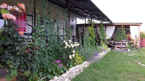 Posada Guest House Miya