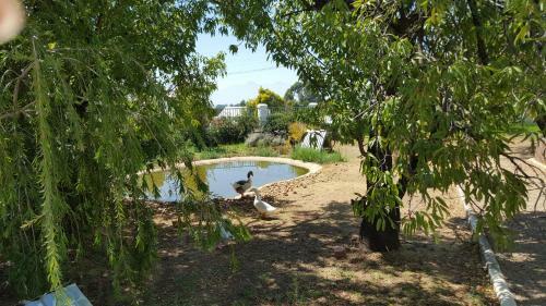 Bed & Breakfast Merindol Manor