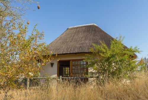 Mbizi Bush Lodge