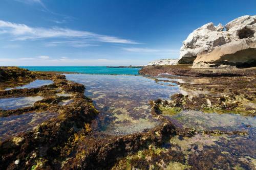 Arniston Seaside Cottages