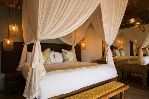 Lodge Misava Safari Camp - Klaserie Drift