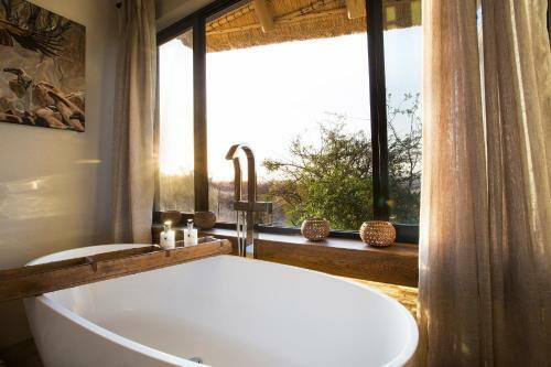 Lodge Misava Safari Camp - Klaserie Drift