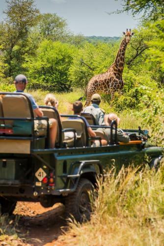 Karongwe River Lodge