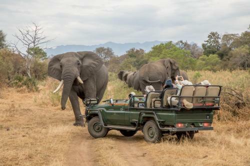Chisomo Safari Camp