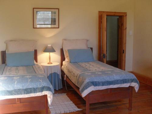 Carnarvon Dale Lodge ? Amakhala Game Reserve