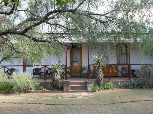 Carnarvon Dale Lodge ? Amakhala Game Reserve