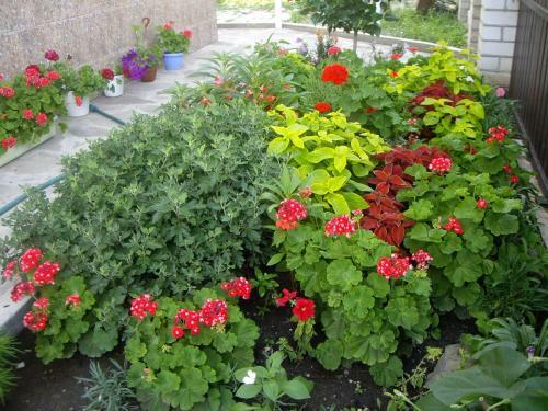 Hostal Guest House On Pionerskaya 7