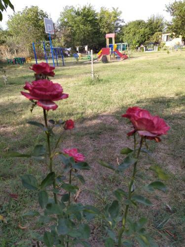 Hostal Tikhaya Gavan Guest House