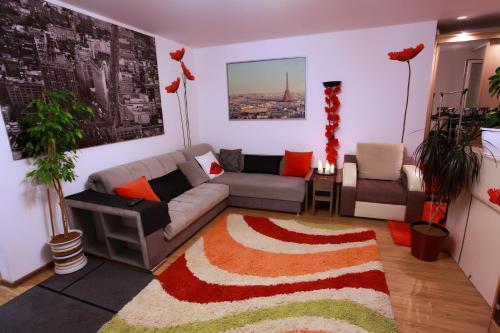 Apartment With Terrace