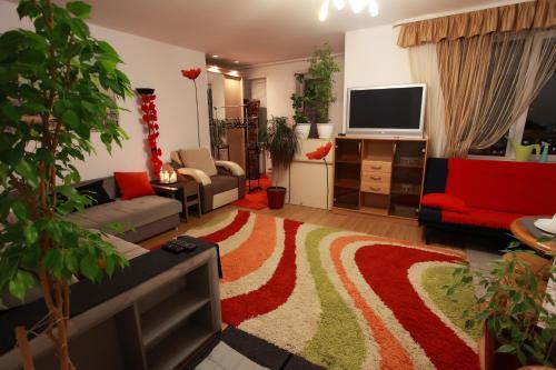 Apartment With Terrace